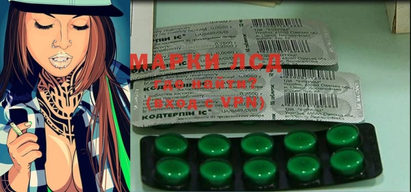 сатива Сосновый Бор