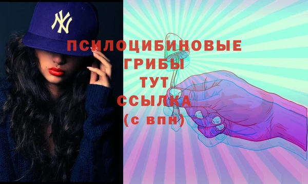 шишки Снежногорск