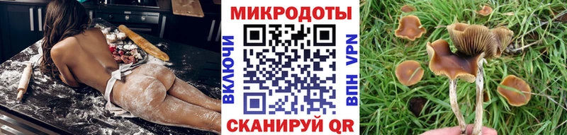 Купить где  Ува  Галлюциногенные грибы мухоморы 